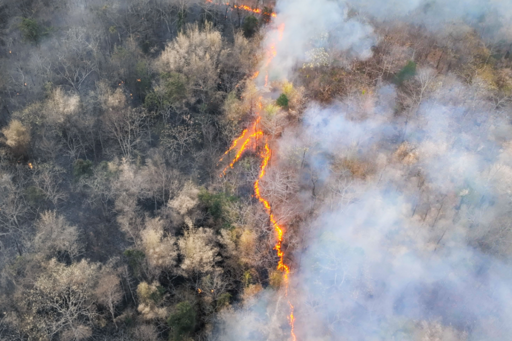 el-niño-signals-build,-but-forecast-confidence-stays-low